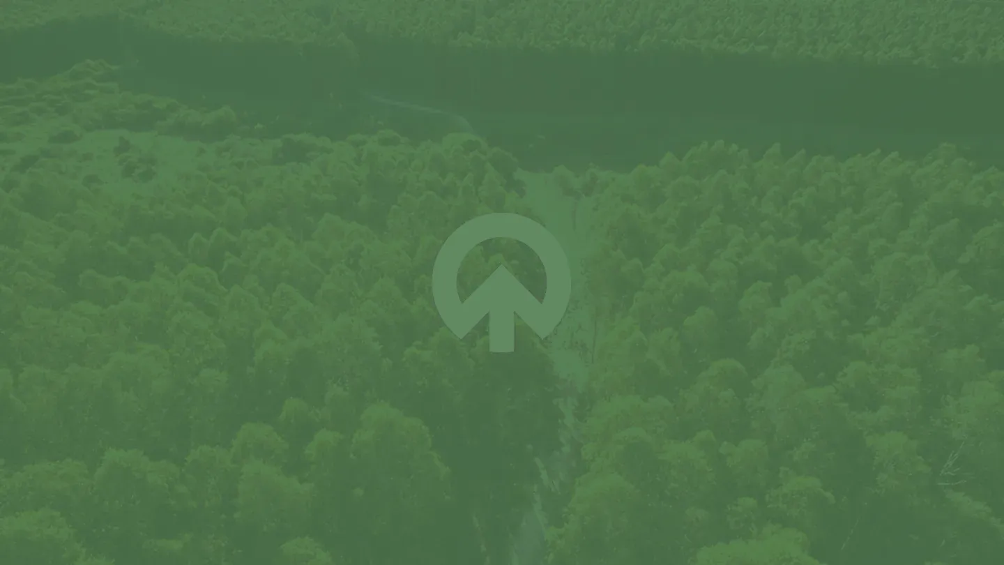 Temporada 2024-25 del Operativo de Proteccion Anti-Incendios Forestales